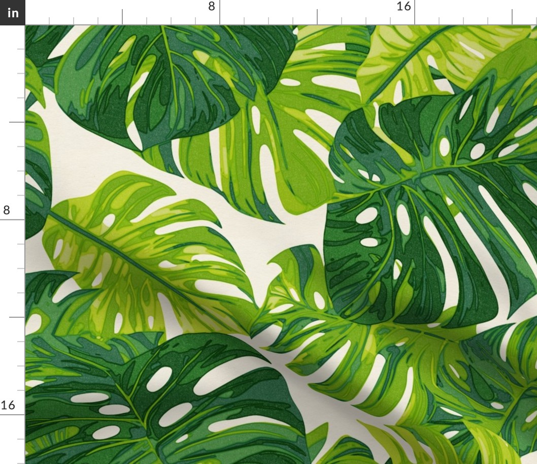 Tropical Monstera Leaves on White Background