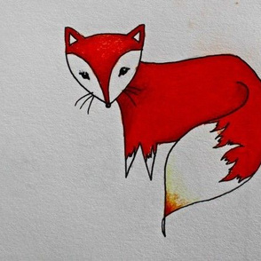 Little red fox