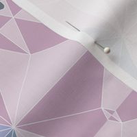 Sacred Geometry | Vector Equilibrium | Lotus Pose | Intangible Pantone Tea Towel