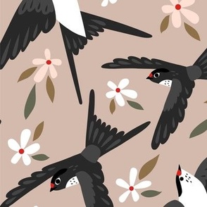 Spring swallows