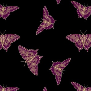 Purple and Yellow Butterflies, Black Background, Large Scale