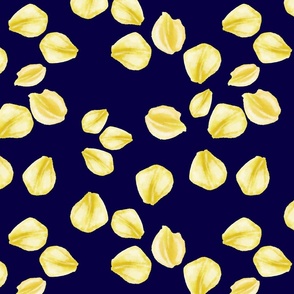 Yellow Rose Petals Navy Blue Background