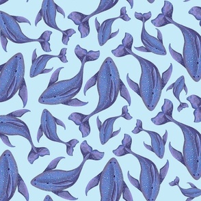Blue Whales on a blue background