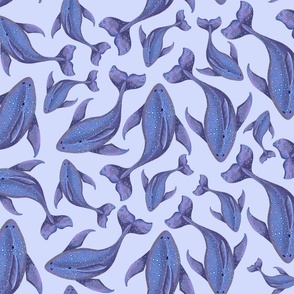 Blue Whales on a purple background