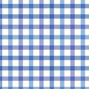 (M) Gingham check micro in blue and purple