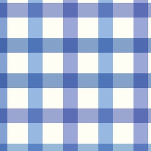 (L) Gingham check micro in blue and purple