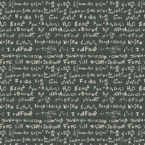 Math and Science Notes - green chalkboard beige chalk