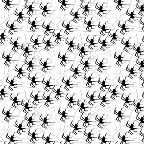  SPIDERS SWARM BLACK/WHITE