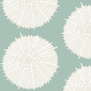 Urchin  Coastal Large Blue-Green_ Cream and White inspired by SW Hazel