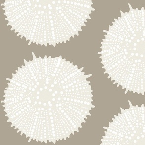 Urchin Coastal  Large Warm Light Brown_ Cream and White inspired by SW Ethereal Mood