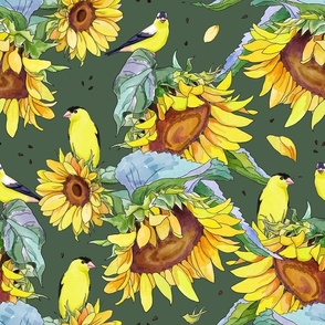 yellow sunflowers and american goldfinch