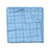 Summer Cornflower Blue Plaid 