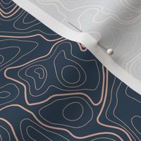 (L) Vintage Abstract Topographic Map 