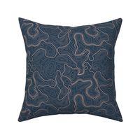 (L) Vintage Abstract Topographic Map 