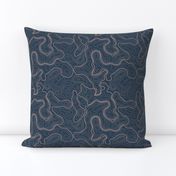 (L) Vintage Abstract Topographic Map 