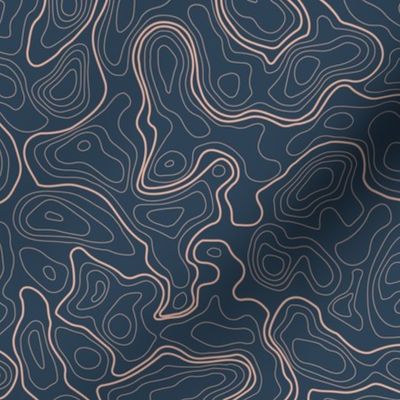 (L) Vintage Abstract Topographic Map 