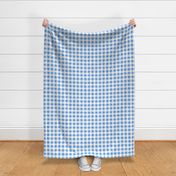 Distressed Gingham White and Cornflower Blue