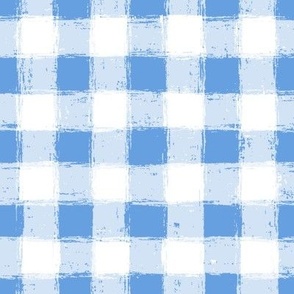 Distressed Gingham White and Cornflower Blue