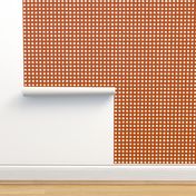 Distressed Floating White Squares on Terracotta