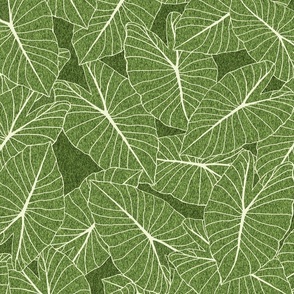 large-Taro Leaf with texture-bright Olive