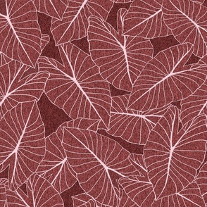 taro leaf with texture-red earth