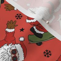 Skateboard Santa  Light Red BG - Medium Scale