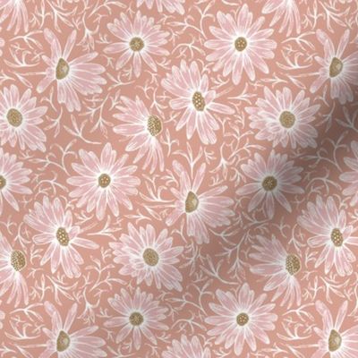 pale pink asters on soft terracotta | small