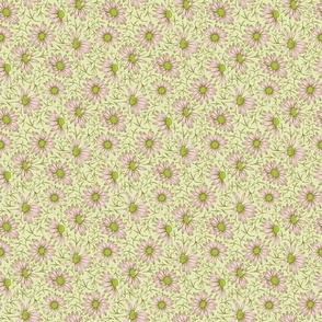 tossed vintage asters on light green | small