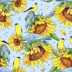 yellow sunflowers and american goldfinch