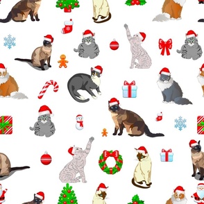 Christmas ,festive,funny,cats,pets,animals  art