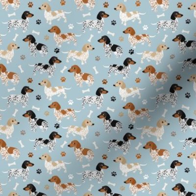 Piebald Dachshund Paws and Bones Small Scale Blue