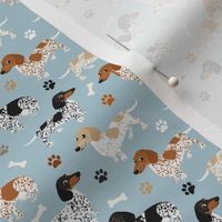 Piebald Dachshund Paws and Bones Small Scale Blue