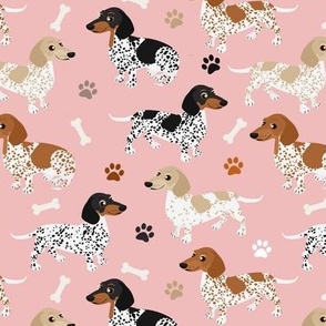 Piebald Dachshund Paws and Bones Pink