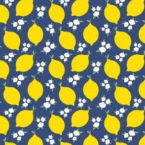 Lemons and Flower Blossoms