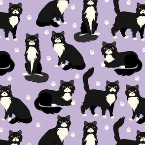 Long Haired Tuxedo Cats Purple