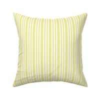 Nancy Stripe Border Butter and White