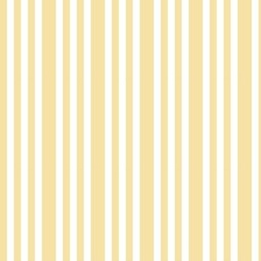 Nancy Stripe Border Hawthorne Yellow and White
