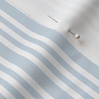 Nancy Stripe Border SF Soft Blue and White