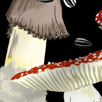 Amanita Black