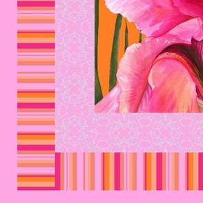 pink iris inside on orange9 (2456