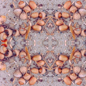 Vintage color mapped Acorns on the sand