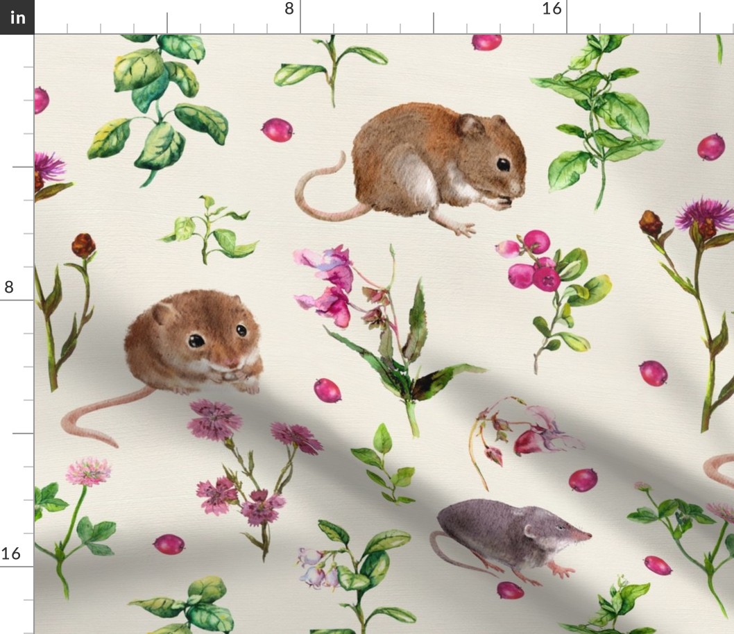 Mice in grass. Small rodent animals in forest flowers, plants