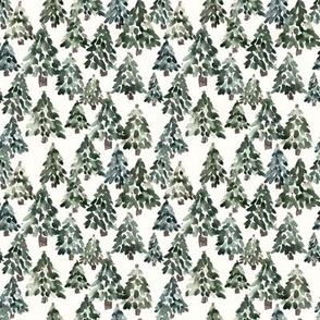 Small / Aspen Christmas Trees