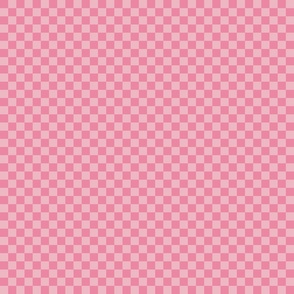 Checks in Pinks - Small Scale - Teen Girl 