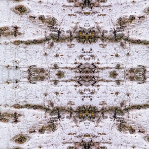 Birch Bark with Ants (large horizontal design)