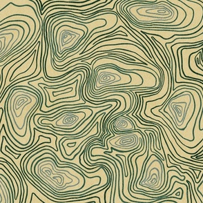 Topography Green