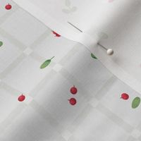 M Autumn cranberries with leaves on gray grid  0025 B  falling cranberrie leaf red green