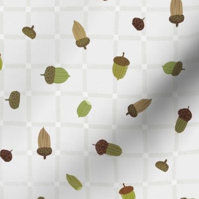 M Autumn acorns on gray grid 0026 B  falling acorn  brown green