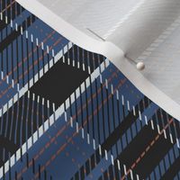 Blue plaid tartan vichy karo checks classic stripes _6x