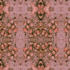 Rose Acorns on the Sand (medium vertical design)